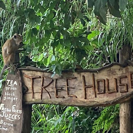 Отель Ella Treehouse Экстерьер фото