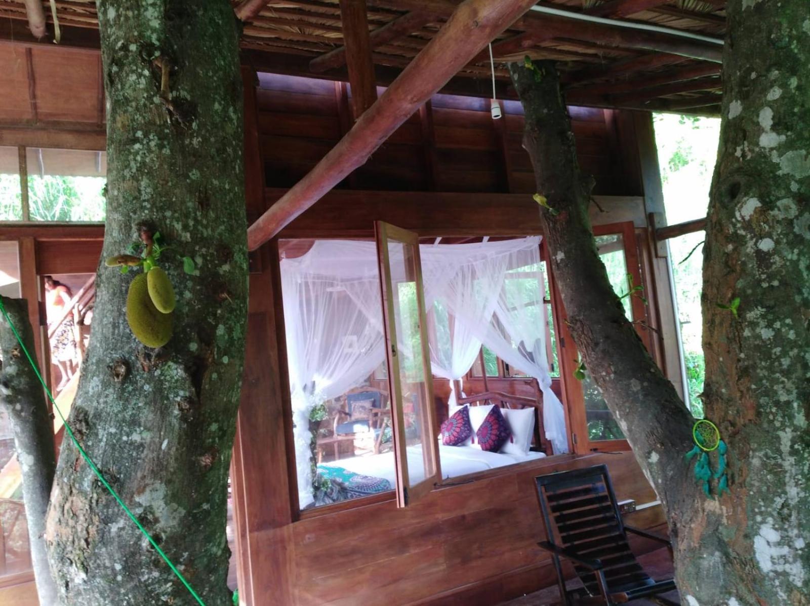 Отель Ella Treehouse Экстерьер фото