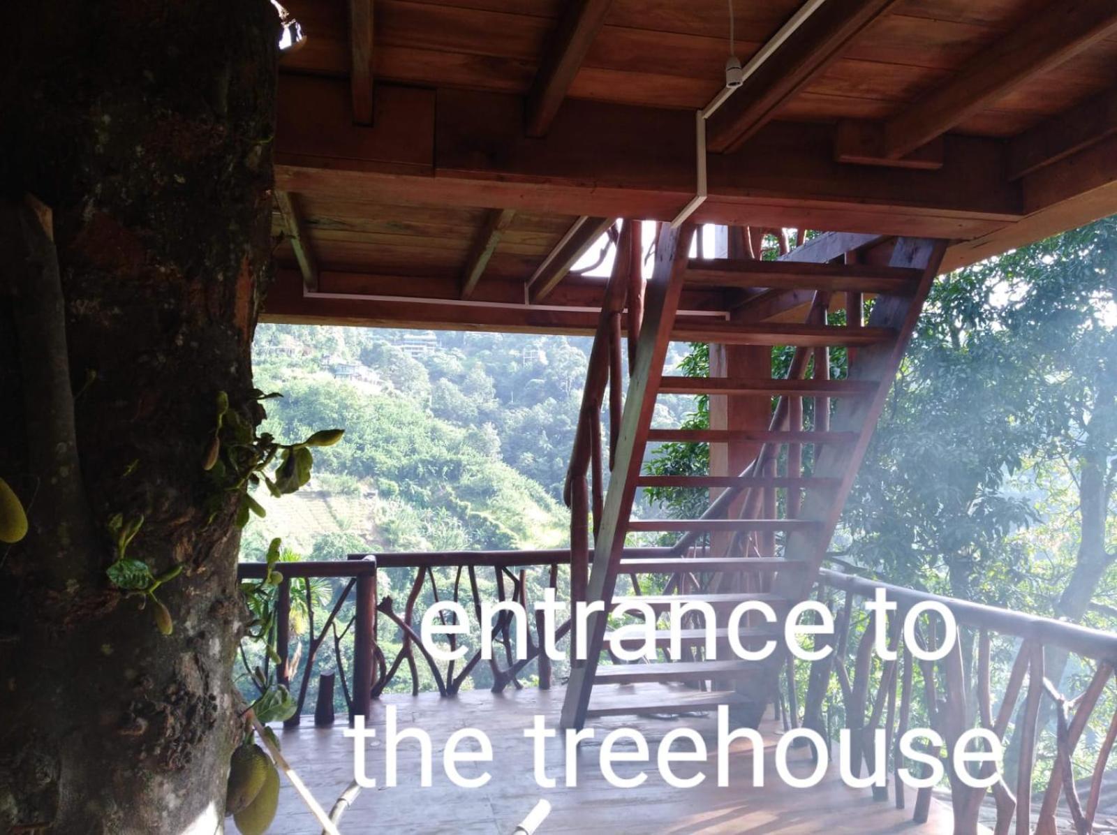 Отель Ella Treehouse Экстерьер фото