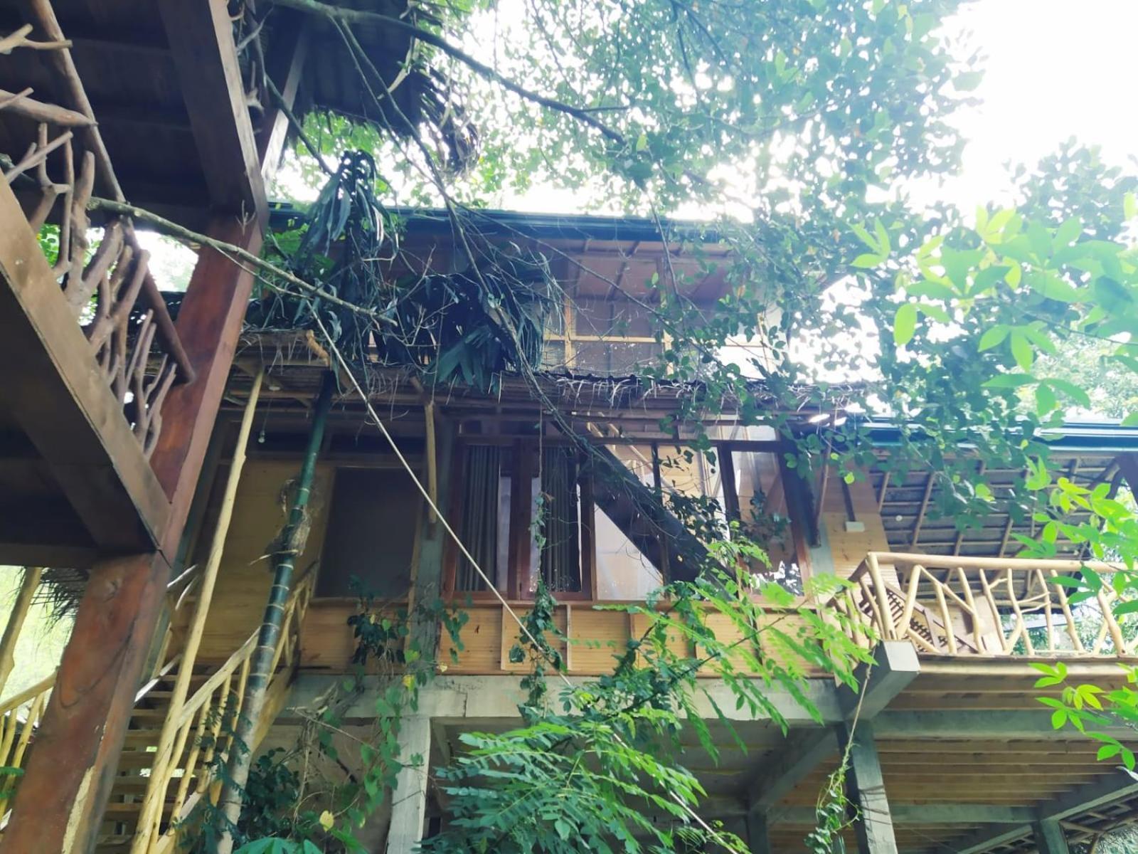 Отель Ella Treehouse Экстерьер фото