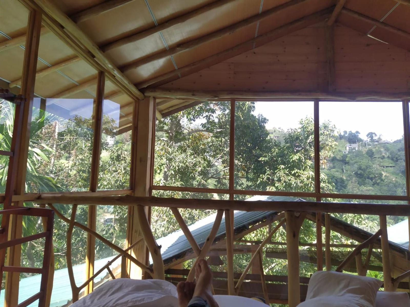 Отель Ella Treehouse Экстерьер фото