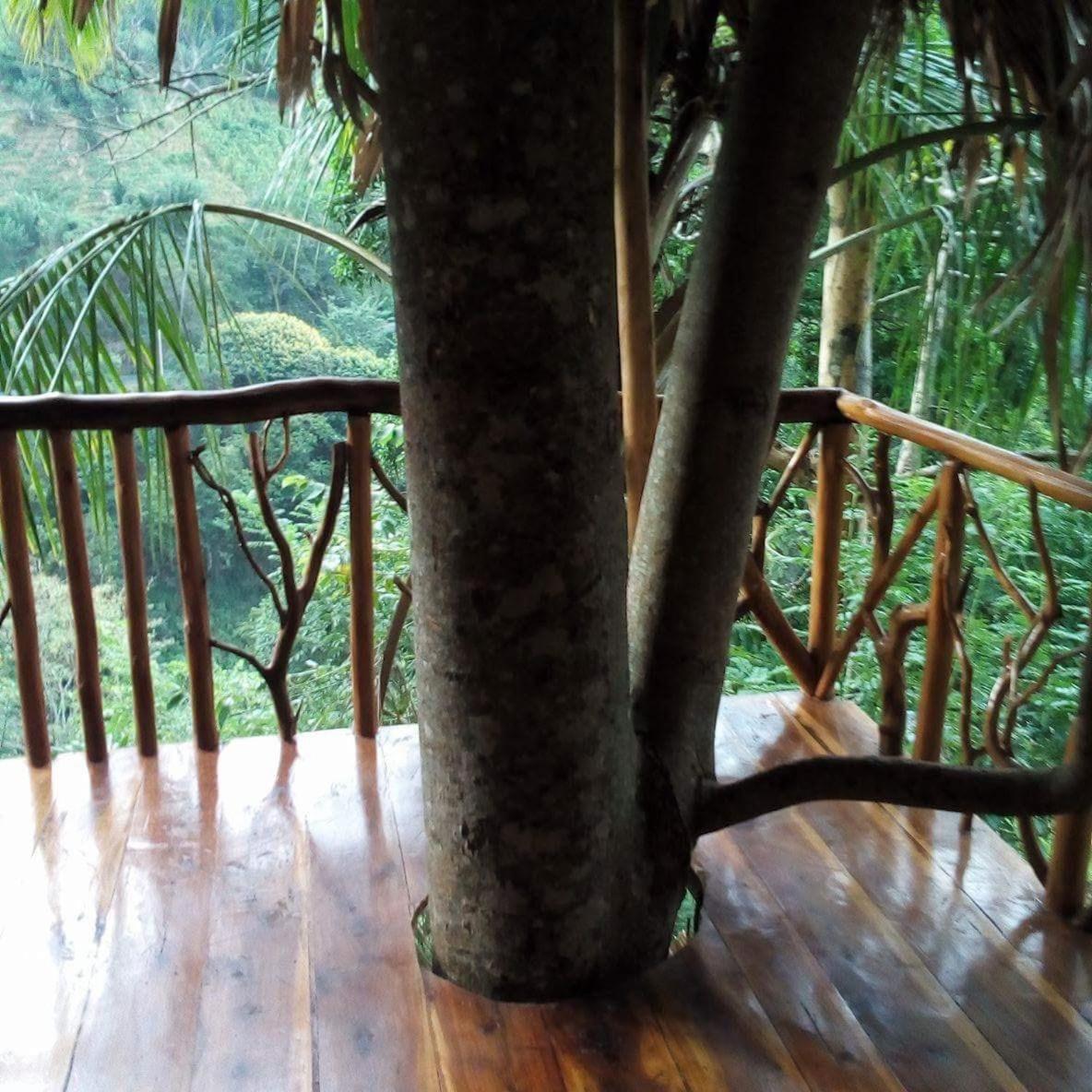 Отель Ella Treehouse Экстерьер фото