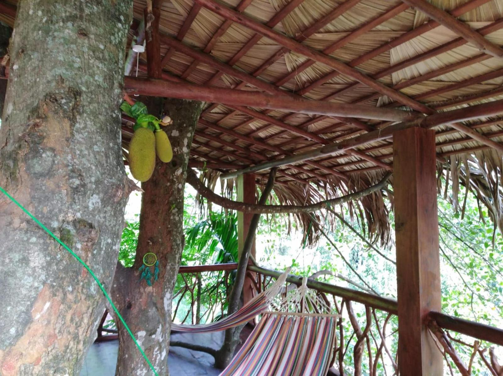 Отель Ella Treehouse Экстерьер фото