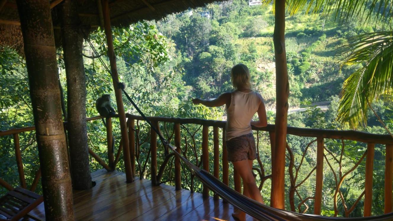 Отель Ella Treehouse Экстерьер фото