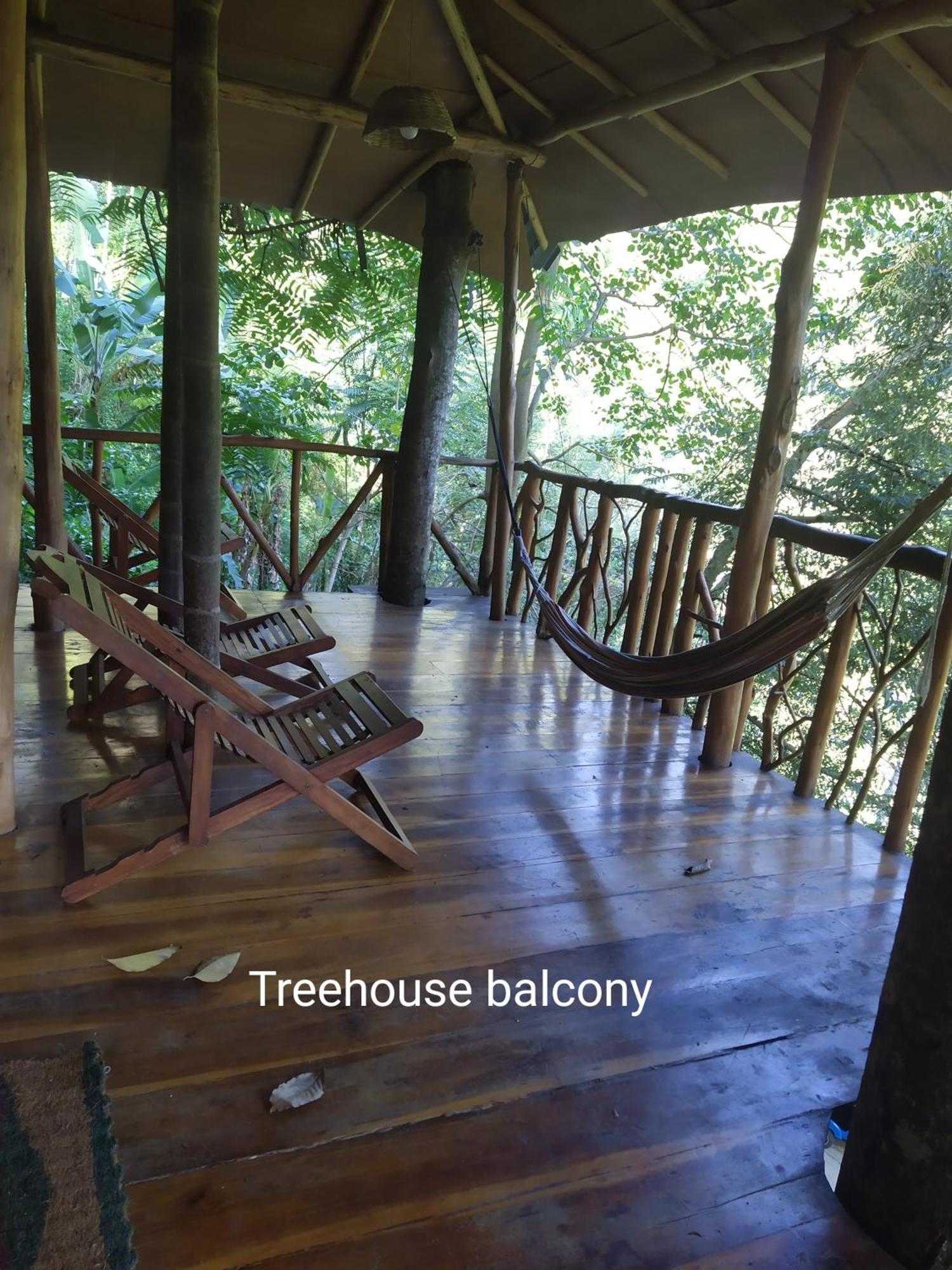 Отель Ella Treehouse Экстерьер фото