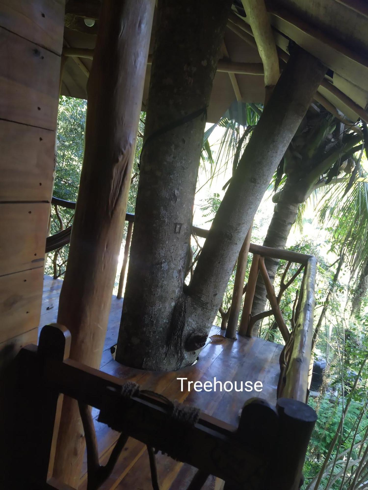 Отель Ella Treehouse Экстерьер фото